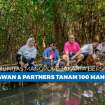 Komunitas Mangrove Jakarta bersama Widyawan & Partners tanam 100 mangrove. (Alidrian Fahwi/ipol.id)