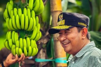 Pj Gubernur Sulbar, Bahtiar Baharuddin. Foto: Dok Pemprov Sulbar