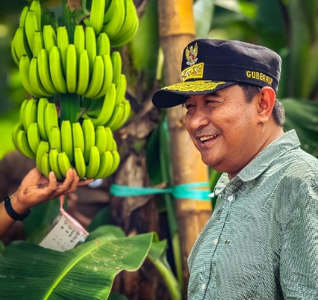 Pj Gubernur Sulbar, Bahtiar Baharuddin. Foto: Dok Pemprov Sulbar