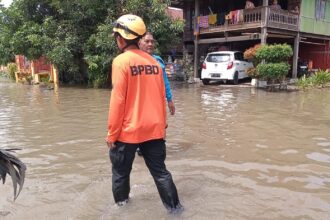 (BPBD) Kabupaten Sidenreng Rappang turun ke lokasi terdampak melakukan pendataan dan penanganan banjir. Foto: BPBD Kabupaten Sidenreng Rappang