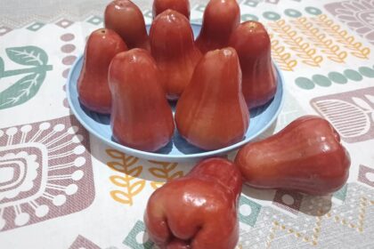 jambu