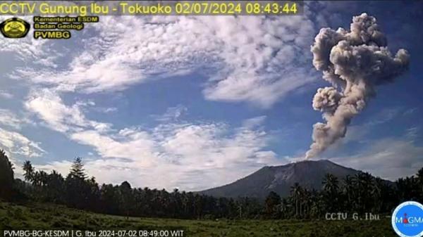 Erupsi Gunung Ibu di Halmahera Barat, Maluku Utara, Selasa (2/7/2024). (Foto: Magma Indonesia)
