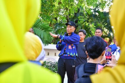 pj gub sulsel 11