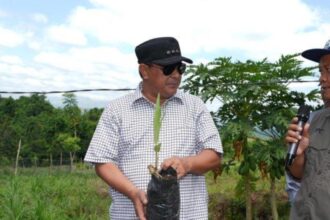 Pj Gubernur Sulbar, Bahtiar Baharuddin saat menanam pohon Foto: dok Humas Pemprov Sulbar