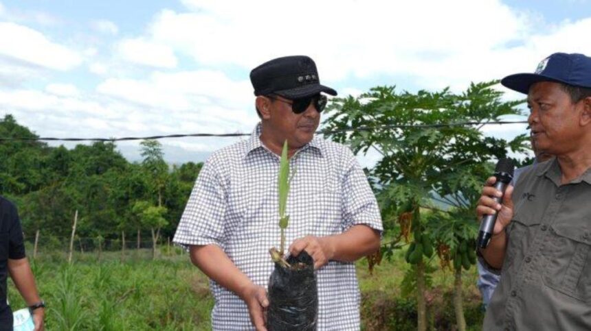 Pj Gubernur Sulbar, Bahtiar Baharuddin saat menanam pohon Foto: dok Humas Pemprov Sulbar