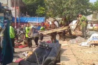 Sudin Pertamanan dan Hutan Kota Jakarta Timur dan petugas gabungan melakukan penertiban bangunan liar dan akses jalan hingga menoping pohon di TPU Prumpung ke permukiman warga Cipinang Besar Utara, Jatinegara, Jakarta Timur, Jumat (2/8/2024). Foto: Ist