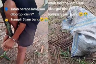 Mencuri brondolan sawit, bocah diborgol selama 5 jam. Foto: IG, @mygigsmedia (tangkap layar)