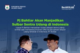 Pj Gub Sulbar fokus untuk menjadikan daerahnya sentra produksi udang. Foto: dok humas