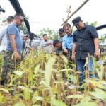 Pj Gubernur Sulbar, Bahtiar Baharuddin saat melakukan studi karya inovasi di Kabupaten Bantaeng, Sulsel.(Foto dok Pemprov Sulbar)