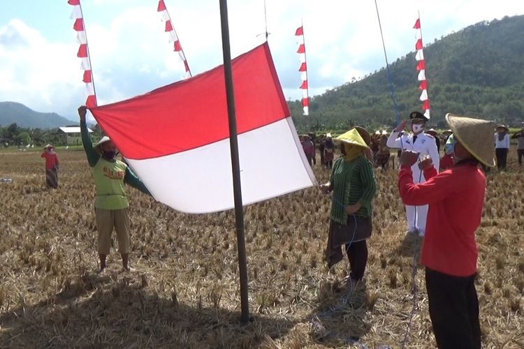 Para petani saat memperingati Hari Kemerdekaan RI di lahan sawahnya. Foto: UGM