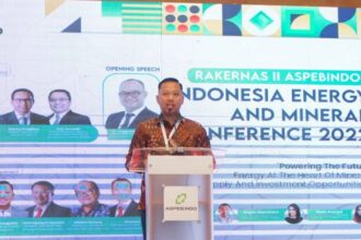 Wakil Ketua Umum (Waketum) Asosiasi Pemasok Energi Mineral dan Batubara Indonesia (Aspebindo) Fathul Nugroho. Foto: Ist