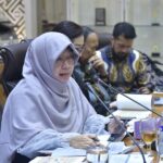 Anggota Komisi XI DPR RI Anis Byarwati. Foto: