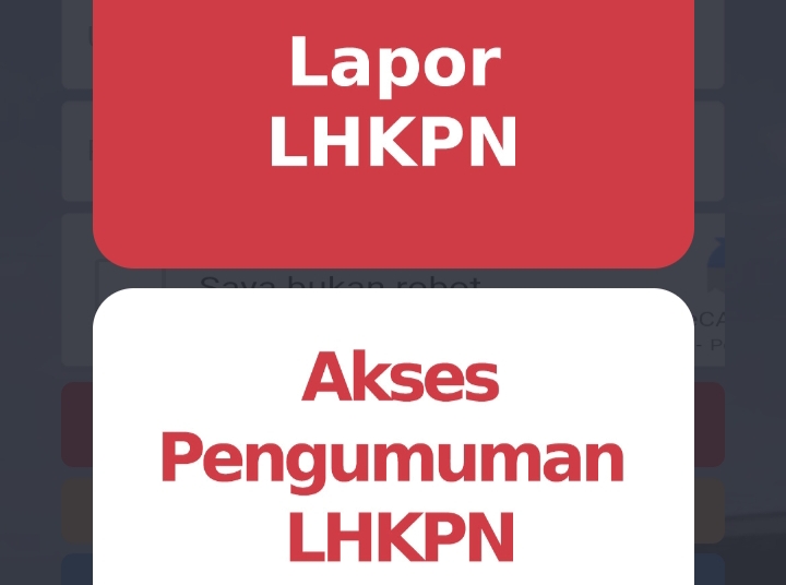 Ilustrasi LHKPN pejabat negara yang diwajibkan melapor ke KPK.(Foto website LHKPN)