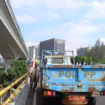 Satuan Polisi Pamong Praja (Satpol PP) Jakarta Timur melakukan penertiban dan atau pencopotan sejumlah atribut bendera partai di Jalan MT Haryono, Cawang, Kramat Jati, pada Rabu (11/9/2024) siang. Foto: Ist