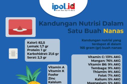 Infografis Nanas rev