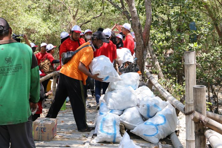 Sebanyak 184,8 kg sampah yang didominasi oleh kategori non-organik dan residu terkumpul dari Aksi Bersih yang menjangkau 1 hektare wilayah pantai mangrove Wonorejo. Foto: Ist