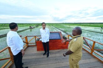 Presiden Jokowi didampingi Ibu Iriana Joko Widodo berkunjung ke Desa Telaga Sari, Distrik Kurik, Kabupaten Merauke, Papua Selatan, Selasa (23/07/2024). Foto: BPMI Setpres/Muchlis Jr