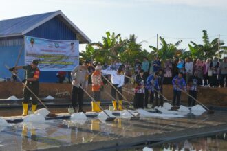 Pemda Sulsel dukung ekosistem industri garam dan petani garam. Foto: dok humas