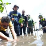 Pj Gubernur Bahtiar melaksanakan kegiatan menanam mangrove di Kelurahan Bebanga, Kecamatan Kalukku Mamuju, Sabtu (7/9/2024). Foto: Pemprov Sulbar