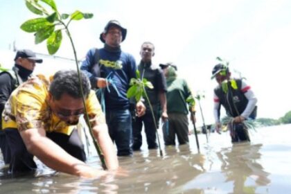 Pj Gubernur Bahtiar melaksanakan kegiatan menanam mangrove di Kelurahan Bebanga, Kecamatan Kalukku Mamuju, Sabtu (7/9/2024). Foto: Pemprov Sulbar