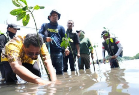 Pj Gubernur Bahtiar melaksanakan kegiatan menanam mangrove di Kelurahan Bebanga, Kecamatan Kalukku Mamuju, Sabtu (7/9/2024). Foto: Pemprov Sulbar