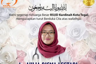 Dokter Aulia Risma Lestari.