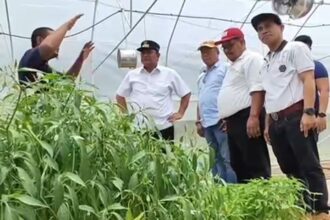 Pj Bahtiar saat mengunjungi petani dan peternak di Sulbar.(Foto dok pemprov Sulbar)