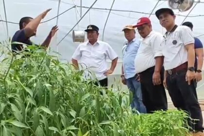 Pj Bahtiar saat mengunjungi petani dan peternak di Sulbar.(Foto dok pemprov Sulbar)