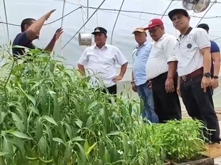 Pj Bahtiar saat mengunjungi petani dan peternak di Sulbar.(Foto dok pemprov Sulbar)