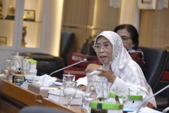 Anggota Komisi IX DPR RI Netty Prasetiyani Aher. Foto: