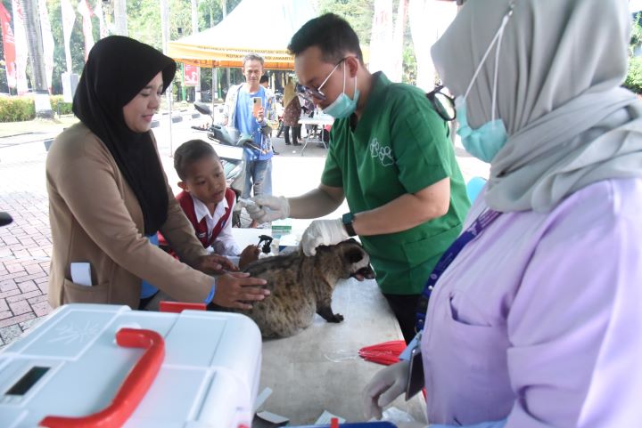 Seorang warga memeriksakan musang peliharaannya dalam giat layanan vaksinasi Hewan Penular Rabies (HPR) drive thru di halaman Kantor Walikota, Kamis (26/9/2024). Foto: Ist