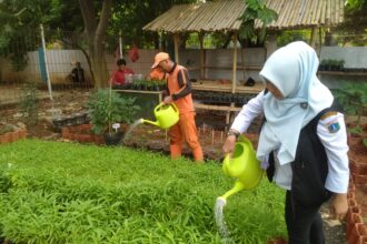 Kepala Seksi Perekonomian dan Pembangunan (Ekbang) Kelurahan Batu Ampar, Isra Nur Hikmah bersama PPSU menyiram sayur mayur di area urban farming di Jalan SMPN 126, RW 03, Batu Ampar, Kramat Jati, Jakarta Timur, Jumat (18/10/2024). Foto: Ist