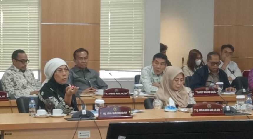 Politisi PDIP di DPRD DKI, Ida Mahmudah saat melakukan interupsi di rapat Komisi D.(Foto Sofian/ipol.id