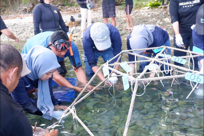 PNM bekerja sama dengan komunitas pecinta lingkungan laut, Sea Soldier, menanam 600 bibit terumbu karang di Pantai Wisata Morella, Maluku