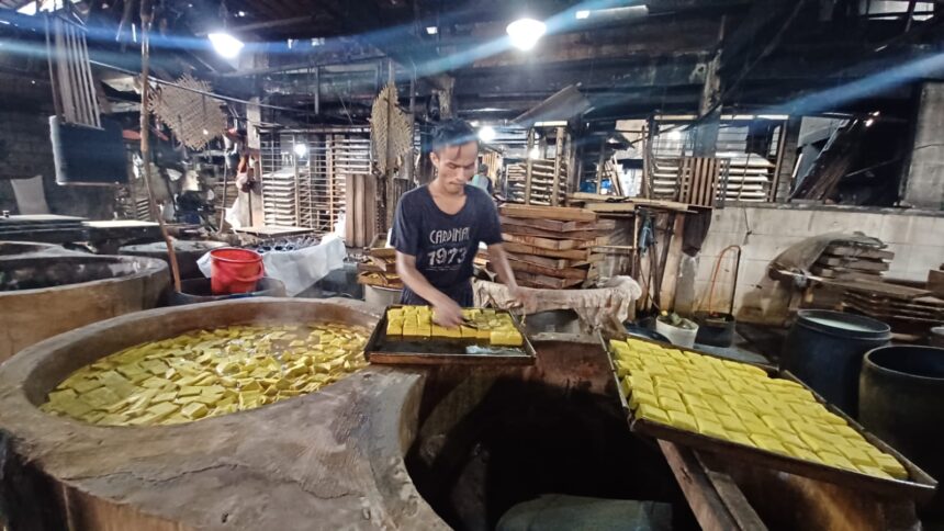 Seorang pekerja sedang menyusun tahu kuning saat proses produksi dilakukan di pabrik tahu di kawasan Ciracas, Jakarta Timur, Kamis (17/10/2024). Foto: Joesvicar Iqbal/ipol.id