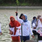 Penanaman pohon Mangrove diikuti sejumlah masyarakat, tak terkecuali para Ibu dan perwakilan lembaga di Pantai Ulee Lheue, Banda Aceh, Aceh pada Rabu (9/10/2024). Foto: Ist