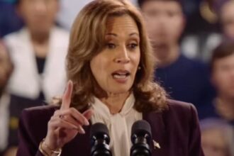 Kamala Harris, Calon Presiden Amerika Serikat (AS) yang diusung Partai Demokrat. Foto: Instagram @kamalaharris