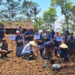 ilustrasi petani di Indonesia penopang program swasembada pangan.(foto dok PNM)