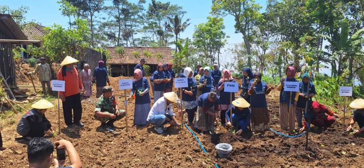 ilustrasi petani di Indonesia penopang program swasembada pangan.(foto dok PNM)