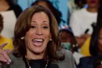 Kamala Harris, Calon Presiden Amerika Serikat (Capres AS) diusung Partai Demokrat. Foto: Insta@kamalaharris