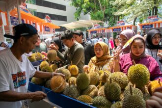 Durian lokal dari Desa Lemahabang, Kecamatan Doro, Kabupaten Pekalongan, diserbu pembeli karena memiliki kualitas unggul. Foto: Dok BRI