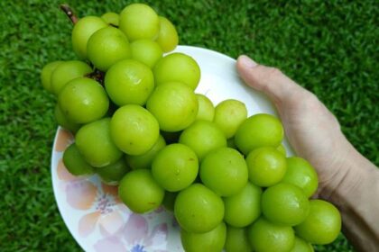 IMG 20241029 WA0008
