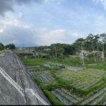 Tampak salah satu Sabo-Dam yang sudah terbangun dan dimanfaatkan untuk lahan pertanian di kaki Gunung Merapi, Jogjakarta. Foto: Ist