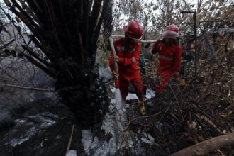 Upaya pemadaman karhutla dilakukan satgas darat dan udara di wilayah Kecamatan Gelumbang, Kabupaten Muara Enim, Sumatera Selatan, Selasa (1/10/2024) dan Rabu (2/10/2024). Foto: Ist