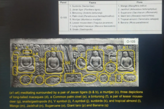 Salah satu publikasi terbaru, Queering Tropical Heritage: Flora and Fauna Reliefs in Karmawibhangga Borobudur Temple, Indonesia, merupakan sebuah penemuan baru cara pandang kesetaraan antara Antara Anthropocentris, flora, fauna dan benda-benda post human lainnya