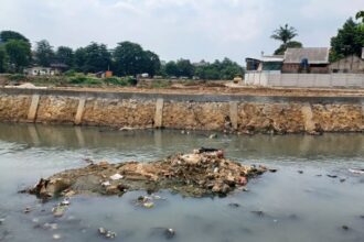 Tampak Kali Cipinang di Wilayah Kelurahan Rambutan, Kecamatan Ciracas, Jakarta Timur, yang mengalami pendangkalan, pada Selasa (8/10/2024). Foto: Joesvicar Iqbal/ipol.id