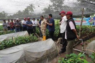 Pj Gubernur Sulbar, Bahtiar bersama petani Sulbar.(foto dok pemprov Sulbar)