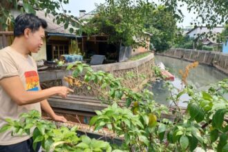 Ketua RT 12/RW 02, Kelurahan Rambutan, Kecamatan Ciracas, Jakarta Timur, Muhammad Arifin Hadidji menunjukkan Kali Cipinang yang airnya kerap melimpas jika hujan deras intensitas tinggi, Selasa (8/10/2024). Foto: Joesvicar Iqbal/ipol.id