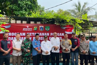 Artha Graha Peduli (AGP) baru saja memberikan bantuan bibit ikan pada SDN 01 Ancol, Jakarta Utara. Pada Jumat (15/11/24)