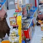 Viral perempuan nekat mencuri dua kotak susu di minimarket. Foto: IG, @mygigsmedia (tangkap layar)